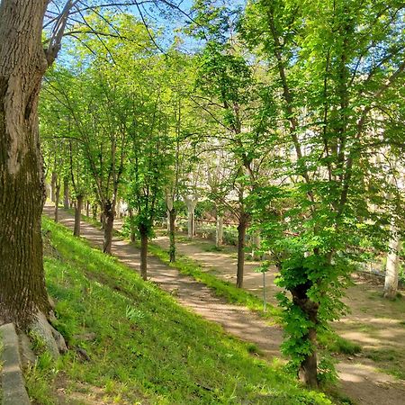 Appartement A Beholding Sight Амели-ле-Бен-Палальда Экстерьер фото
